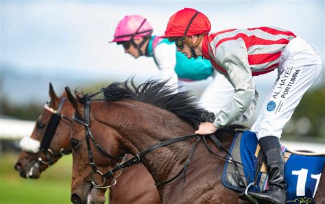 irish derby 2020 odds|Irish Derby Runner.